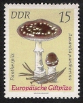 Stamps Germany -  SETAS-HONGOS: 1.152.013,01-Amanita pantherina -Dm.974.29-Y&T1615-Mch.1935-Sc.1535