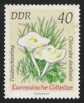 Stamps Germany -  SETAS-HONGOS: 1.152.018,01-Clitocybe dealbata -Dm.974.34-Y&T.1620-Mch.1940-Sc.1540
