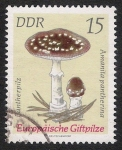 Sellos de Europa - Alemania -  SETAS-HONGOS: 1.152.013,02-Amanita pantherina -Dm.974.29-Y&T1615-Mch.1935-Sc.1535