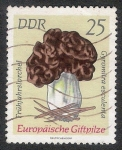 Stamps Germany -  SETAS-HONGOS: 1.152.015,02-Gyromitra esculenta -Dm.974.31-Y&T1617-Mch.1937-Sc.1537