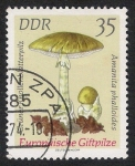 Stamps Germany -  SETAS-HONGOS: 1.152.017,02-Amanita phalloides -Dm.974.33-Y&T1619-Mch.1939-Sc.1539