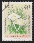 Stamps : Europe : Germany :  SETAS-HONGOS: 1.152.018,02-Clitocybe dealbata -Dm.974.34-Y&T.1620-Mch.1940-Sc.1540