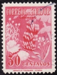 Stamps Ecuador -  PIÑA DE PLATANO