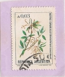 Stamps Argentina -  Notro-Ciruelillo