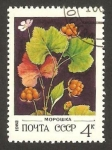 Stamps Russia -  4887 - una flor
