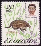 Sellos de America - Ecuador -  ARMADILLO