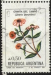 Stamps Argentina -  Flor Chinita del Campo. - Zinnia Peruviana - 
