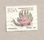 Stamps South Africa -  Planta Strapelia grandiflora