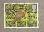 Stamps United Kingdom -  Petirrojos
