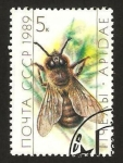 Stamps Russia -  abeja