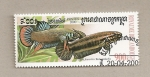 Stamps : Asia : Cambodia :  Pez Betta imbellis