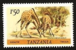 Stamps Africa - Tanzania -  jirafas