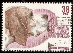 Stamps Spain -  Perros de raza española. Pachón navarro