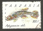 Sellos del Mundo : Africa : Tanzania : pez aphyosemion ahli