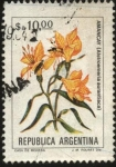 Stamps America - Argentina -  Flor Amancay - Alstroemeria aurantiaca - 