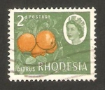 Stamps : Africa : Zimbabwe :  rhodesia - fruta, cítricos