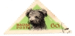 Stamps Hungary -  1956-Serie de Perros