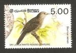 Sellos del Mundo : Asia : Sri_Lanka : ave sturnus senex