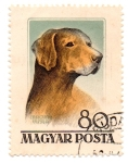 Stamps Hungary -  1956-Serie de Perros