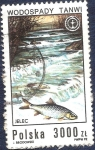 Stamps Poland -  Pez