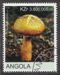 Stamps Angola -  SETAS-HONGOS: 1.104.021,00-Agaricus silvaticus