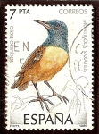 Stamps Spain -  Pájaros. Roquero rojo