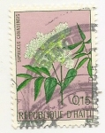 Stamps Haiti -  Flores (Sambucus Canadensis)