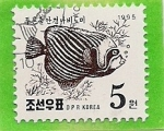 Stamps North Korea -  Peces