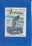 Stamps Cuba -  Mamiferos Marinos