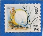 Stamps Cuba -  Pez