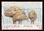 Stamps Spain -  Matacandelas (Lepiota procera)