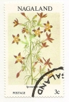 Stamps Asia - Nagaland -  Flor