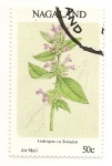 Stamps Nagaland -  Flor