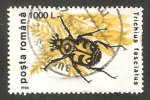 Stamps : Europe : Romania :  insecto trichius fasciatus