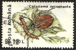 Sellos de Europa - Rumania -  insecto un escarabajo