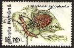 Stamps : Europe : Romania :  insecto un escarabajo