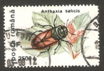 Stamps : Europe : Romania :  insecto anthaxia salicis