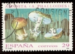 Stamps : Europe : Spain :  Amanita (Amanita phalloides)