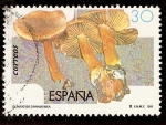 Stamps Spain -  Cortinario canelo (Dermocybe cinnamomea)