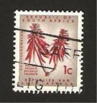 Stamps : Africa : South_Africa :  flor de  kafferboom