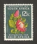 Sellos del Mundo : Africa : Sud�frica : flor protea