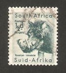 Stamps : Africa : South_Africa :  un jabali