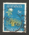 Stamps South Africa -  árbol baobab