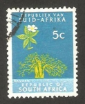 Stamps South Africa -  árbol baobab