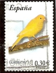 Stamps : Europe : Spain :  Canario (Familia finguillidae)