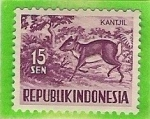Sellos de Asia - Indonesia -  Kantjil