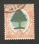 Stamps South Africa -  un naranjo