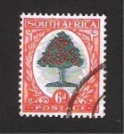 Stamps : Africa : South_Africa :  un naranjo