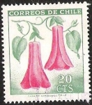 Stamps : America : Chile :  COPIHUE FLOR NACIONAL