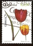 Stamps Spain -  Tulipan